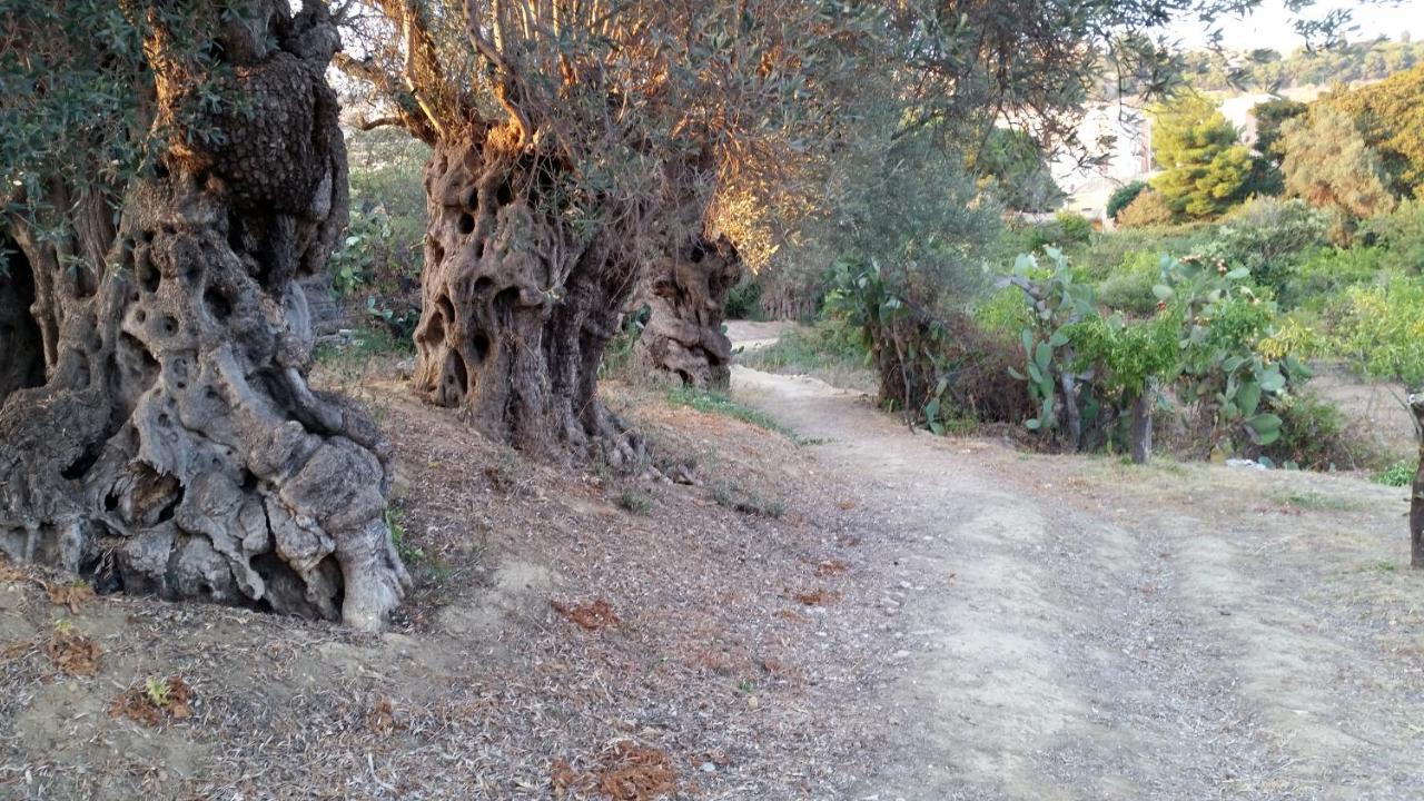 La Villa Di Minerva Agrigento Exterior foto