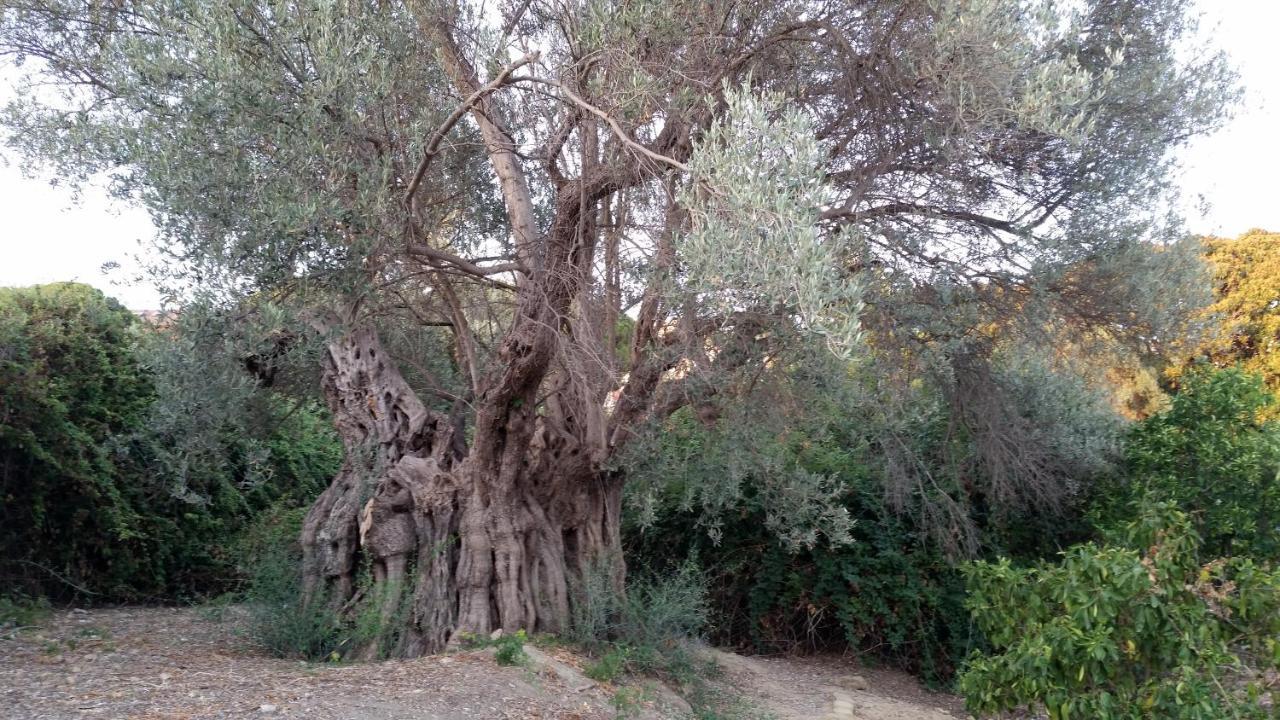 La Villa Di Minerva Agrigento Exterior foto