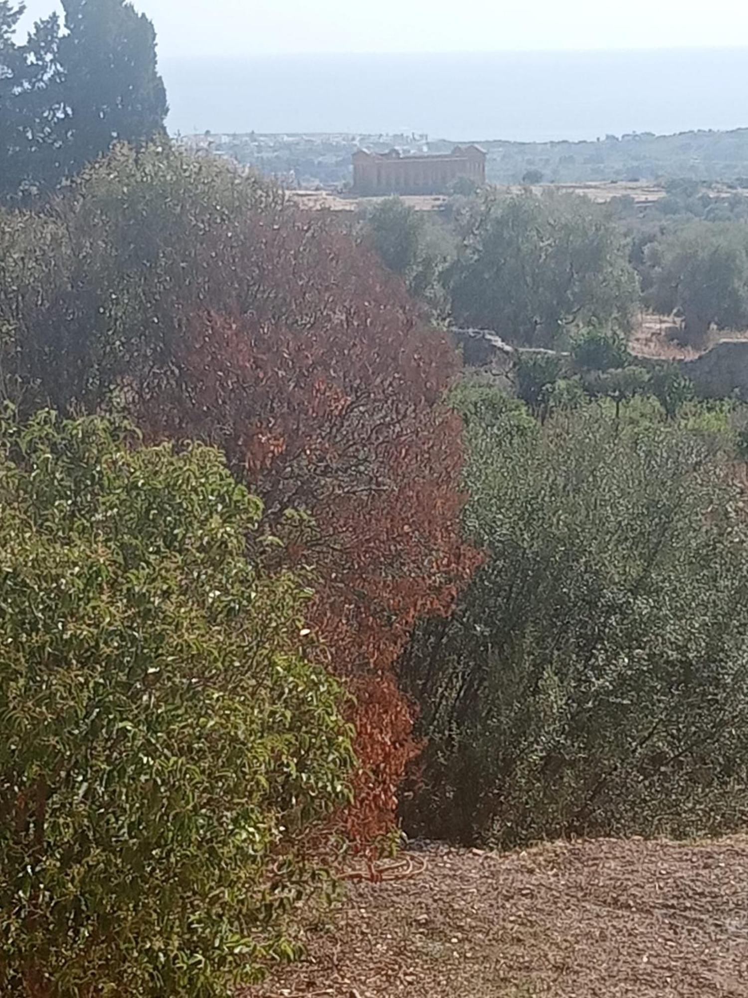 La Villa Di Minerva Agrigento Exterior foto